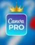 canva pro at cheap price