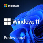 Windows 11 Professional Upgrade Key (1 Year)