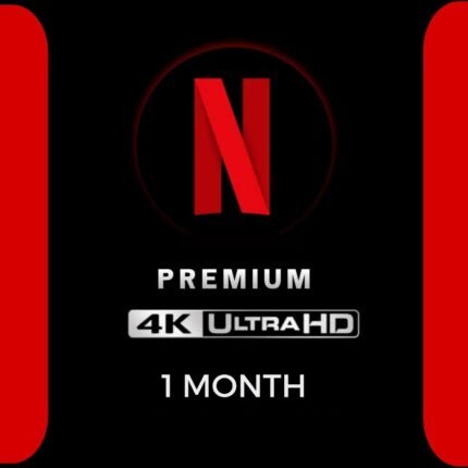 Netflix Subscription 1 Month