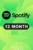 Spotify 12 Months Premium (Personnel Account)